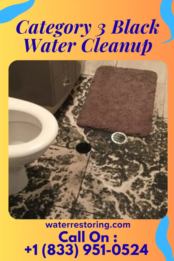 Category 3 Black Water Cleanup in Vestavia Hills, AL