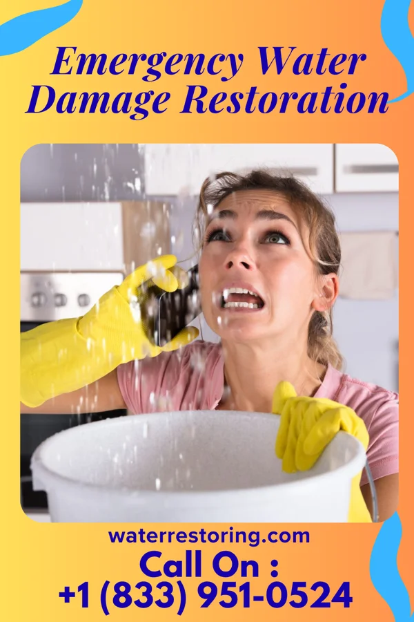 Emergency Water Damage Restoration in Vestavia Hills, AL