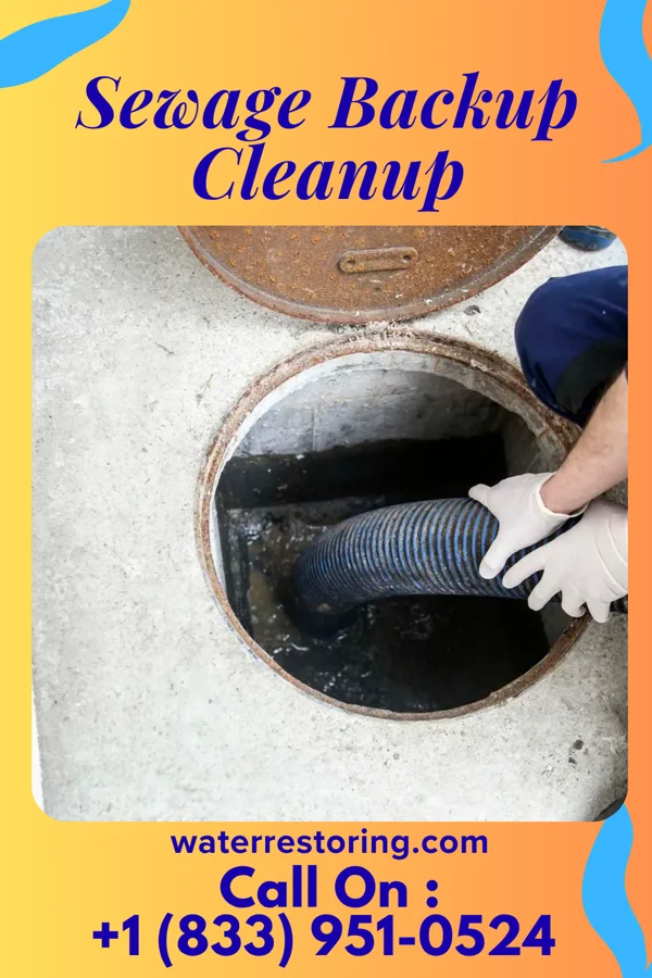 Sewage Backup Cleanup in Vestavia Hills, AL